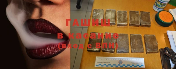 стафф Арсеньев