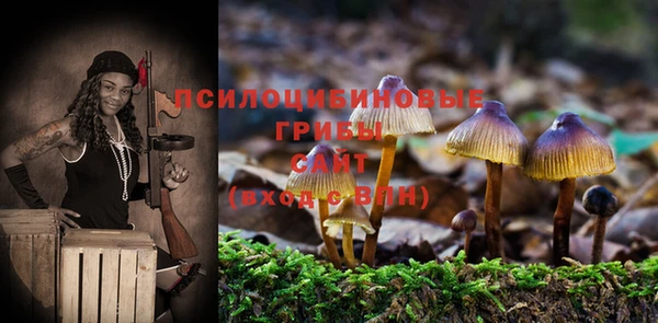 марки lsd Аркадак