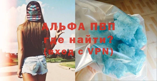 стафф Арсеньев