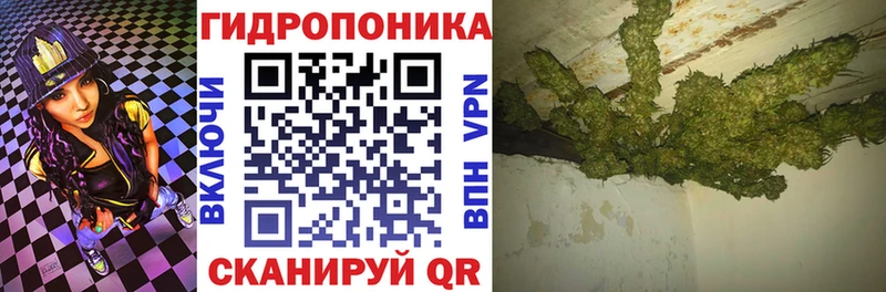 Бошки Шишки гибрид  Николаевск 